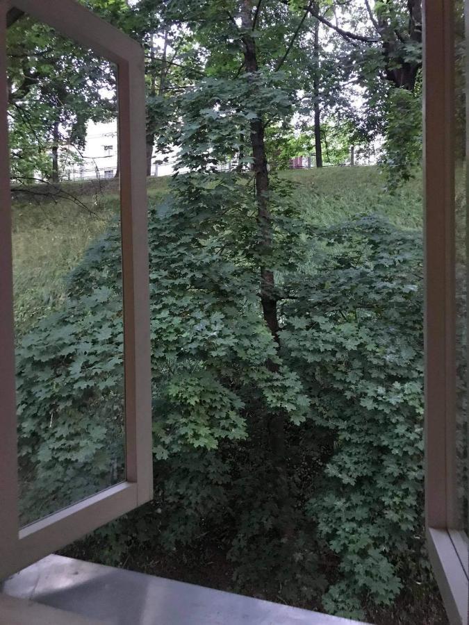 Vallikraavi Apartment タルトゥ エクステリア 写真